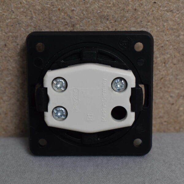 Berker Wippentaster mit Sym 1668831