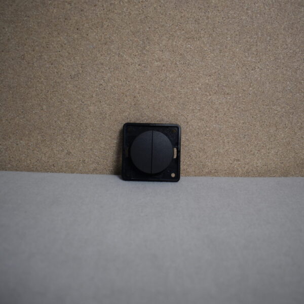 Berker Kippschalter 21564/2 schwarz