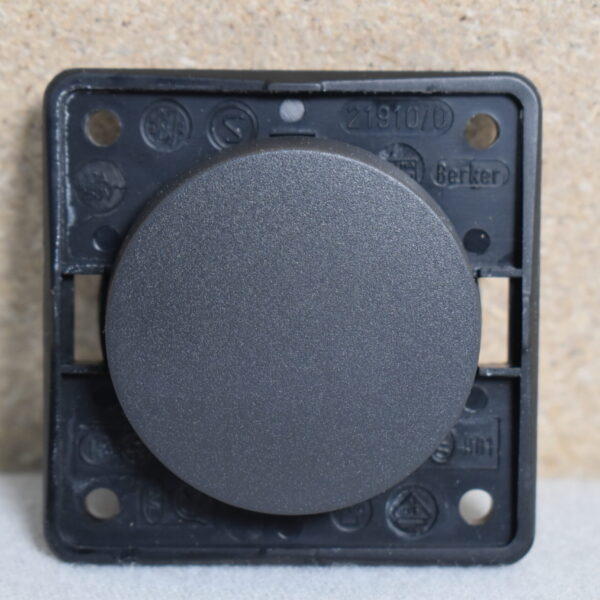 Berker Wippschalter 21910/0