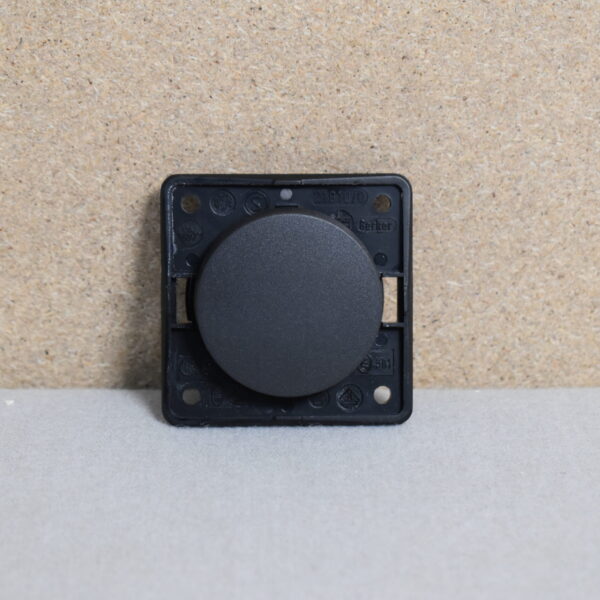 Berker Wippschalter 21910/0