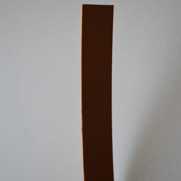 ABS Kante Umleimer 19x2 mm, Nobel Appel, Wohnmobil / Wohnwagen, 10 m