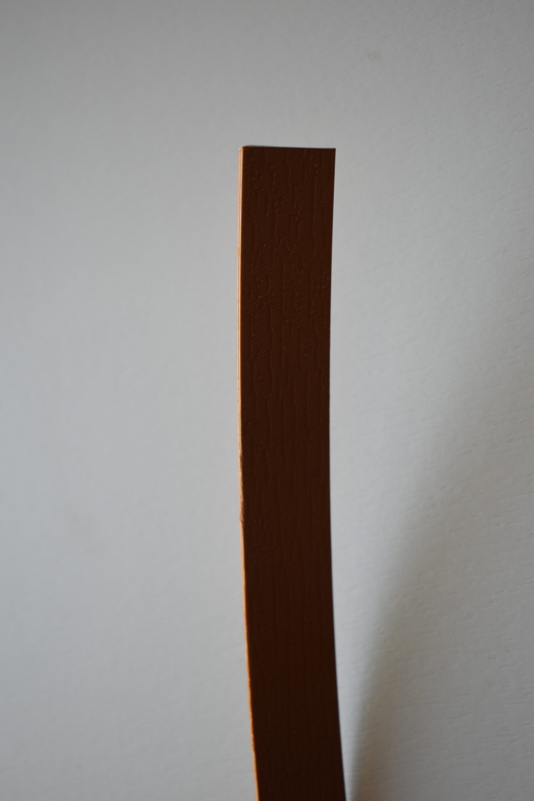 ABS Kante Umleimer 19x2 mm, Nobel Appel, Wohnmobil / Wohnwagen, 10 m