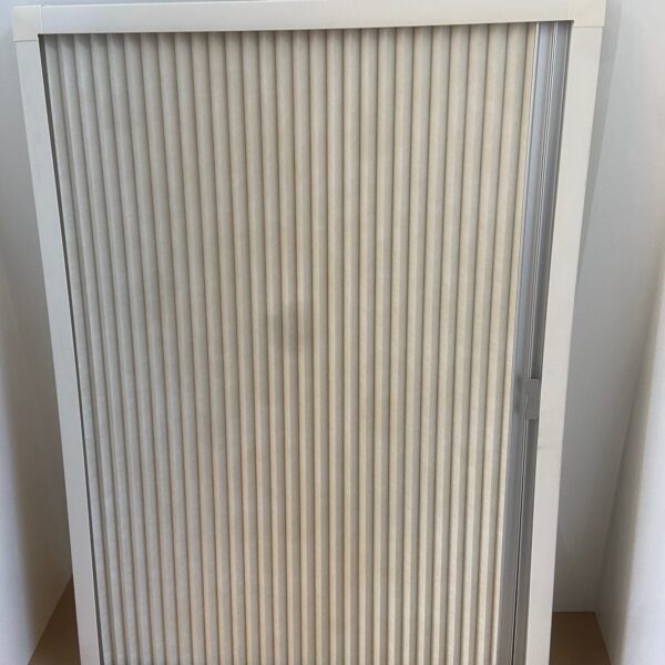 Rollo mit Verdunklung und Fliegenschutz, Remis, 1000 x 700 mm