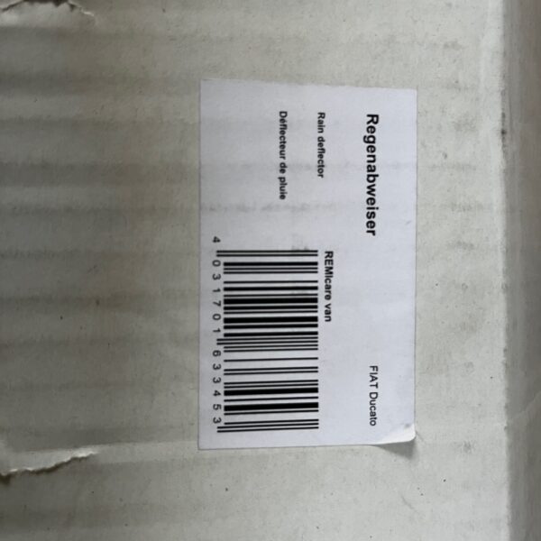 Remis Remicare Van Regenabweiser Fiat Ducato