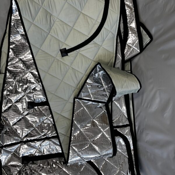 Reimo Zeltbalg Isolation VW T5 37396