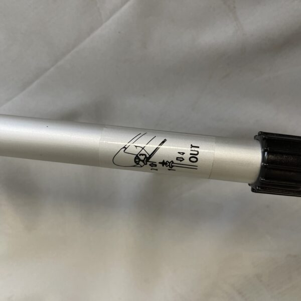 Markisenkurbel Thule silber/weiß ausziehbar 140cm bis 200cm