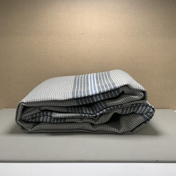 Arisol Srl Vorzeltteppich 250x600cm