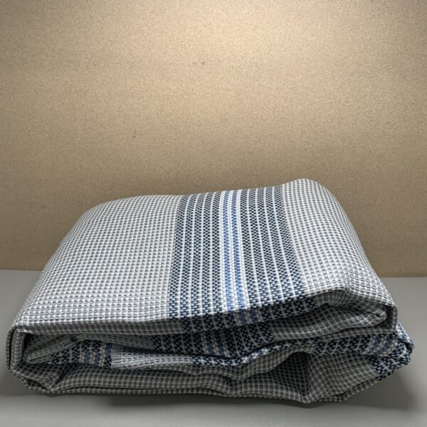 Arisol Srl Vorzeltteppich 250x600cm