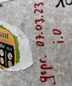 Lilie Membranpumpe IQflo 11.1 Trinkwassersystem