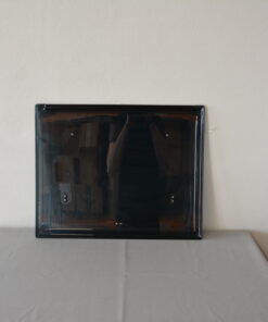 Ersatzscheibe Scheibe Polyplastic 560x500mm