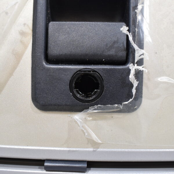 Serviceklappe 855x1105mm gold