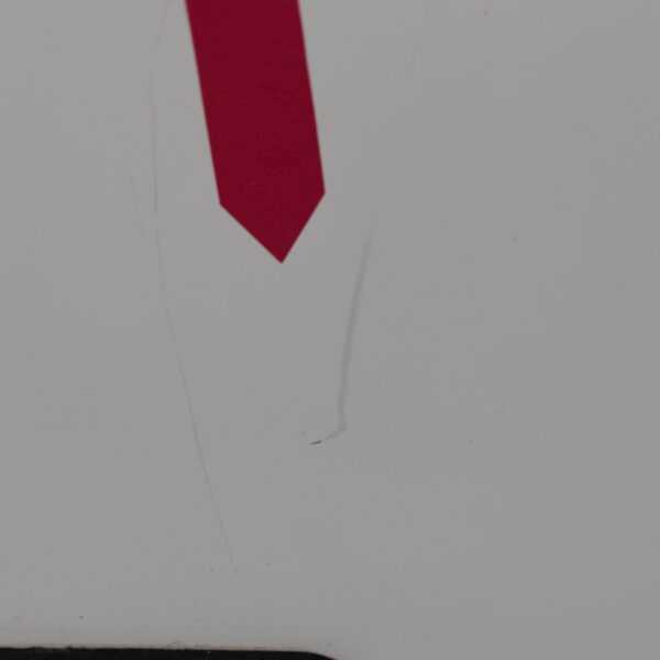 Füllung für Serviceklappe 1170x390mm weiß