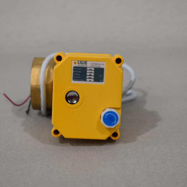 Lilie Stellmotor für Abwasser