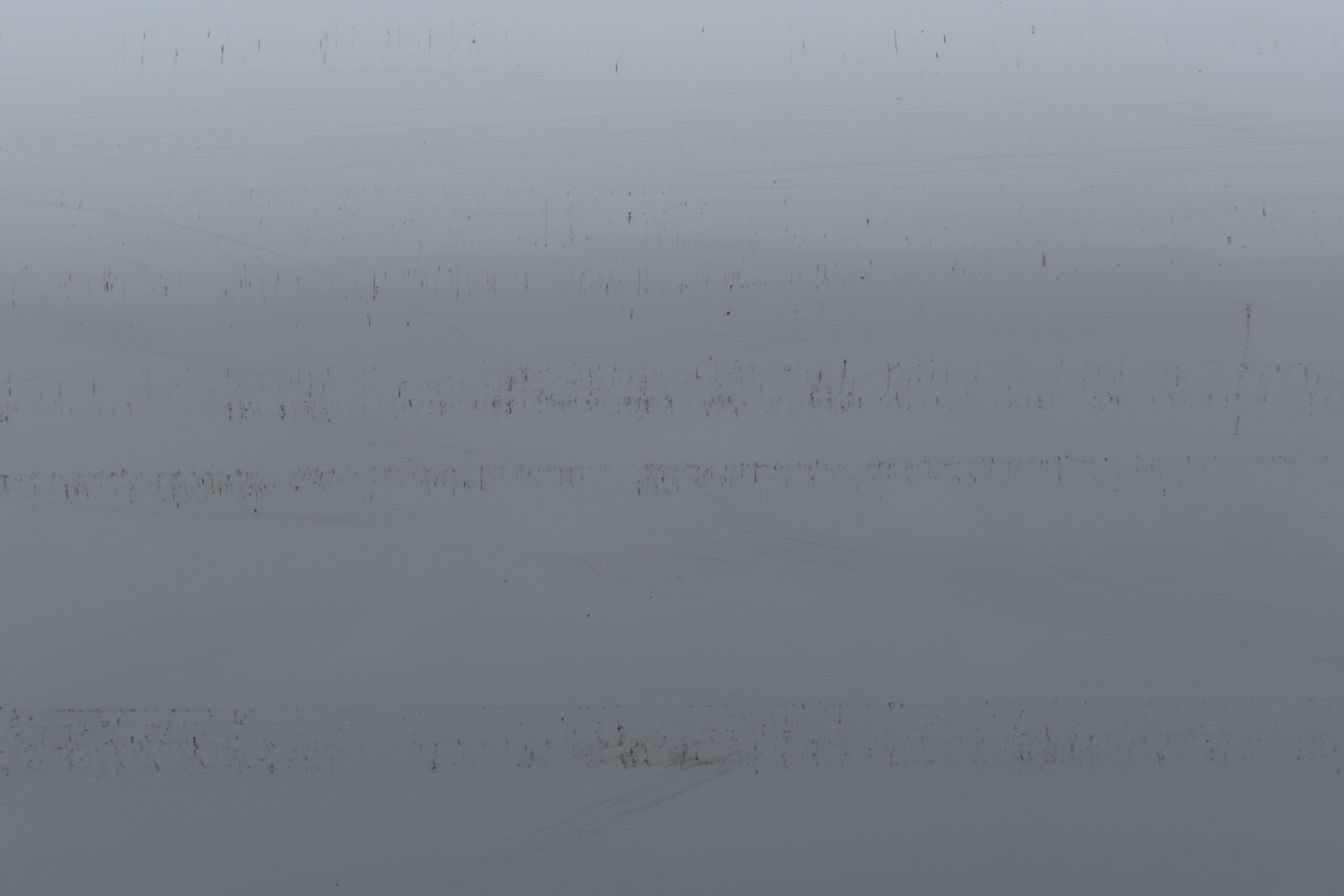 Thule Omnistor 8000 Wandmarkise; 550cm