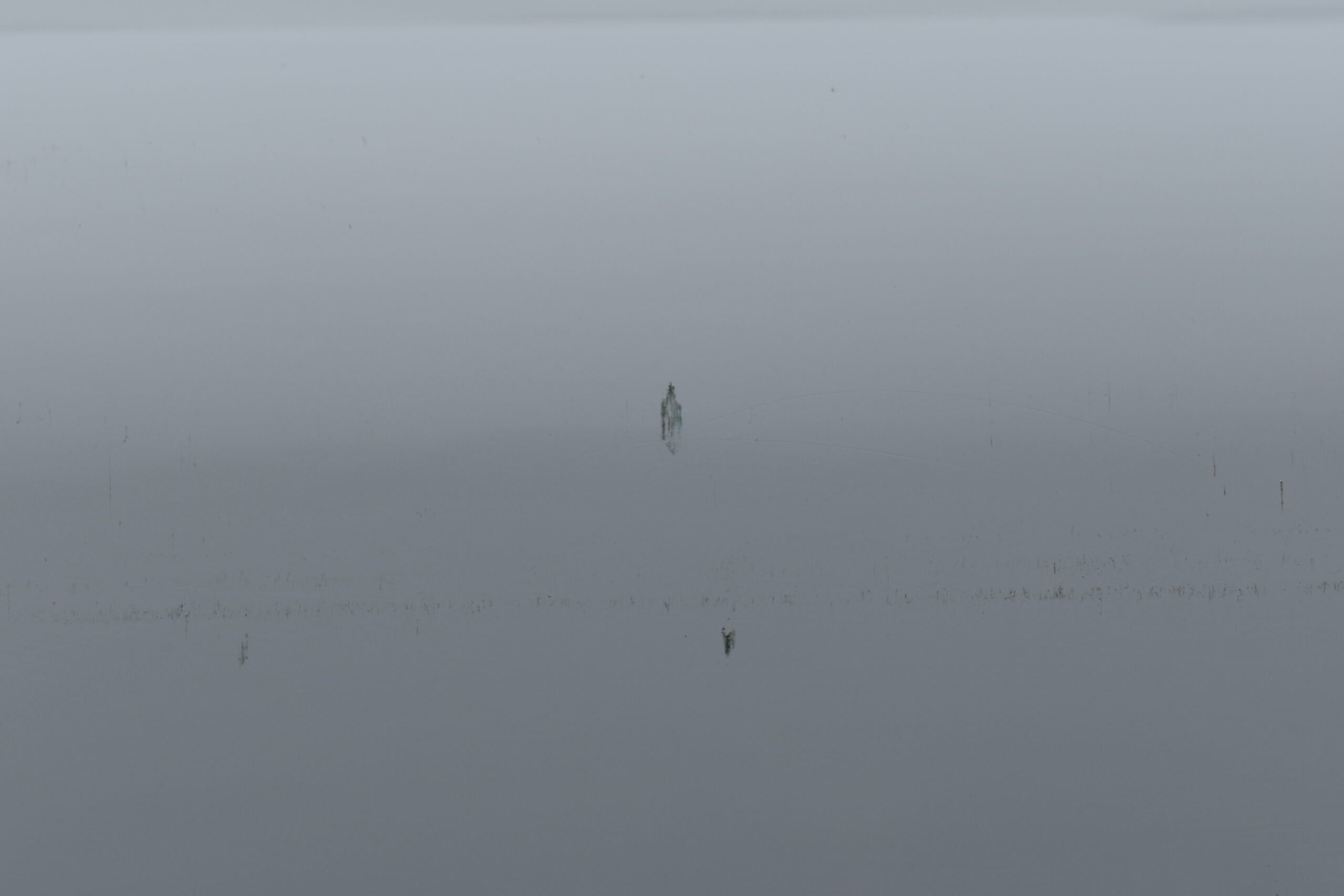 Thule Omnistor 8000 Wandmarkise; 550cm