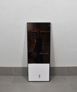 Kühlschranktür 460x1225mm