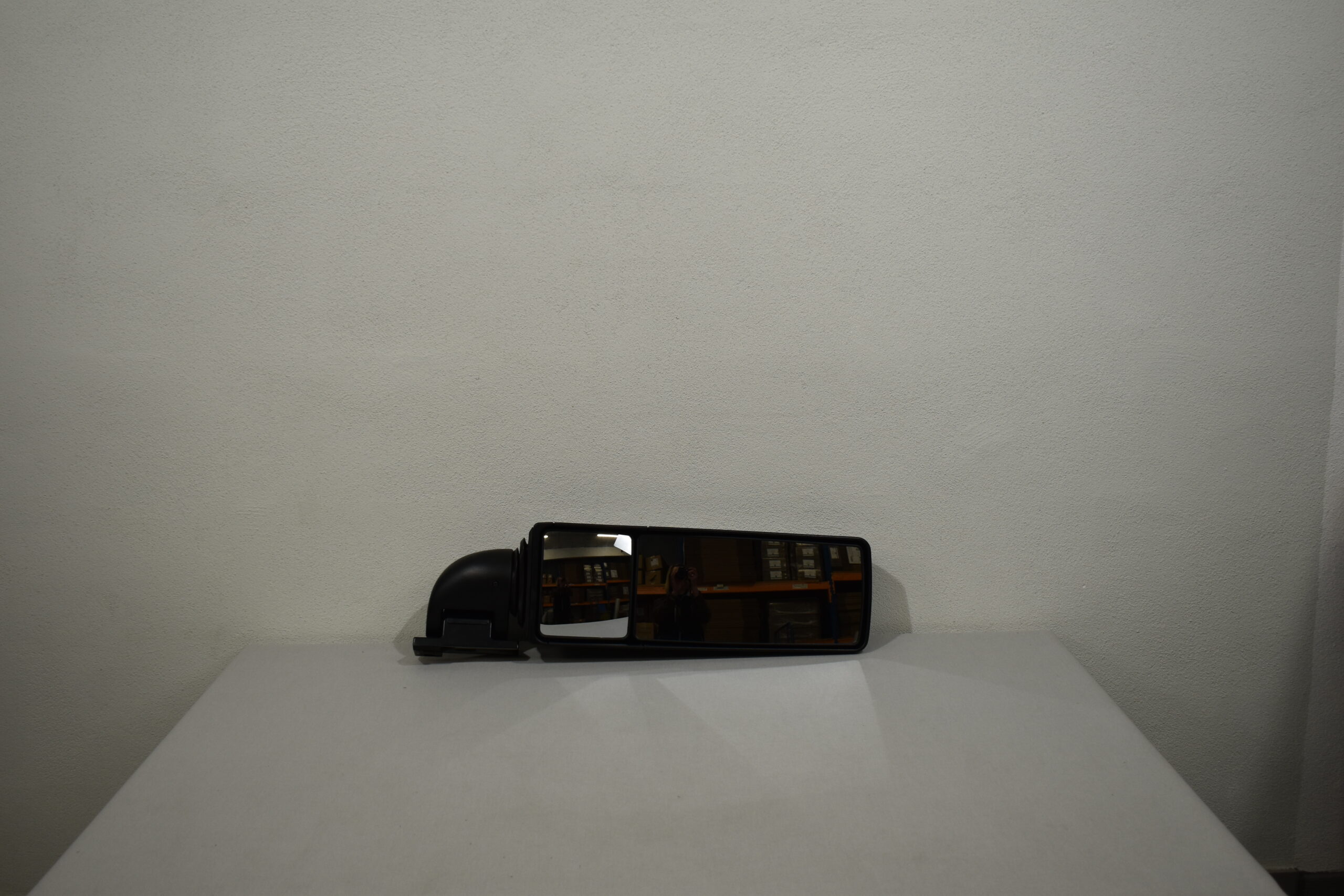 Niesmann und Bischoff Rückspiegel; Beifahrerseite