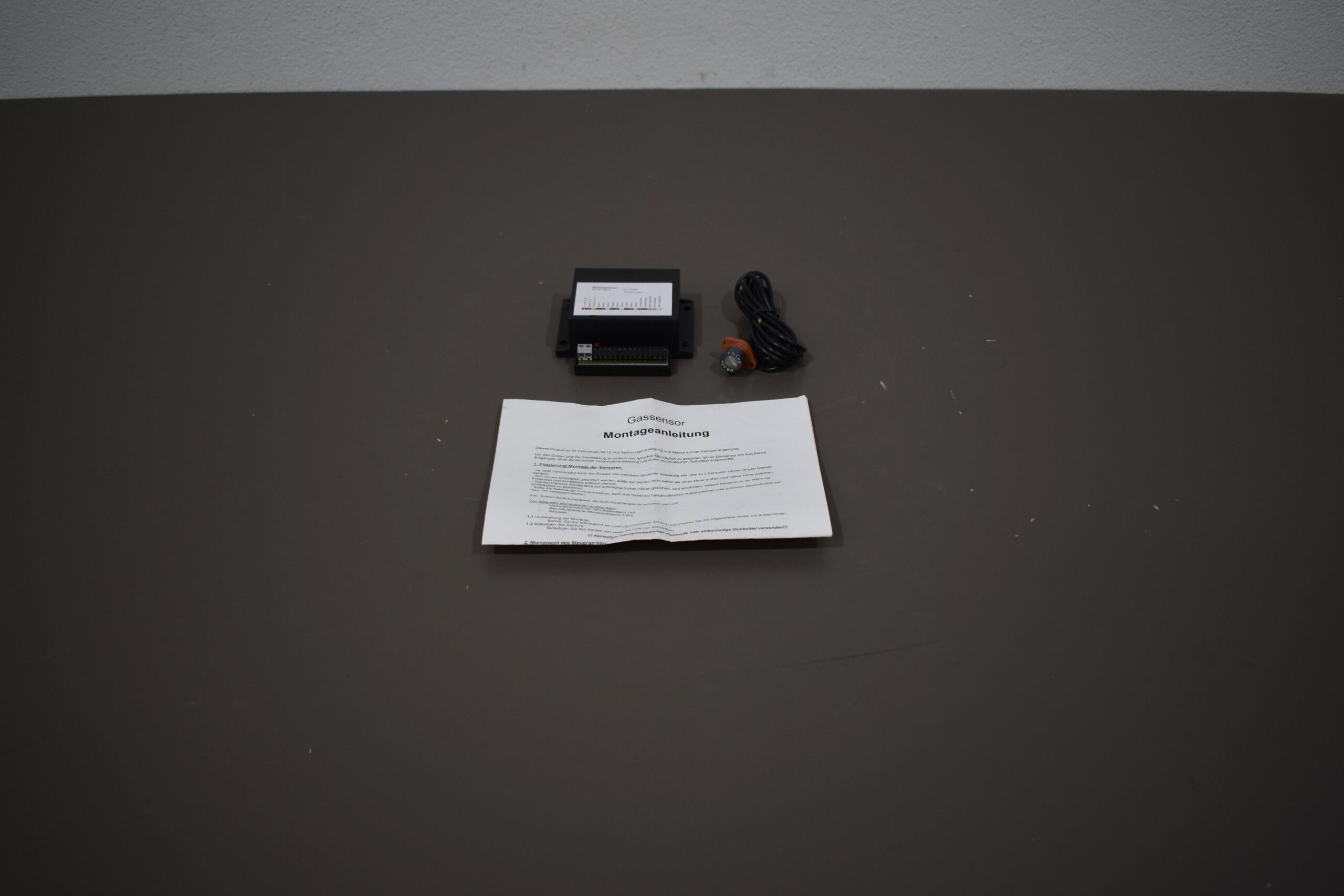 Gassensor mit Steuergerät und Sensor 29013