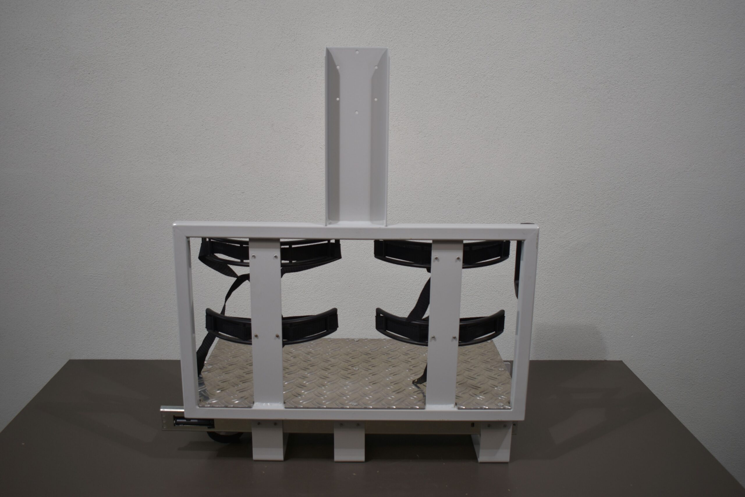 Gaskastenauszug Wohnmobil H= 790 x T= 730 x B= 350mm – Bild 5